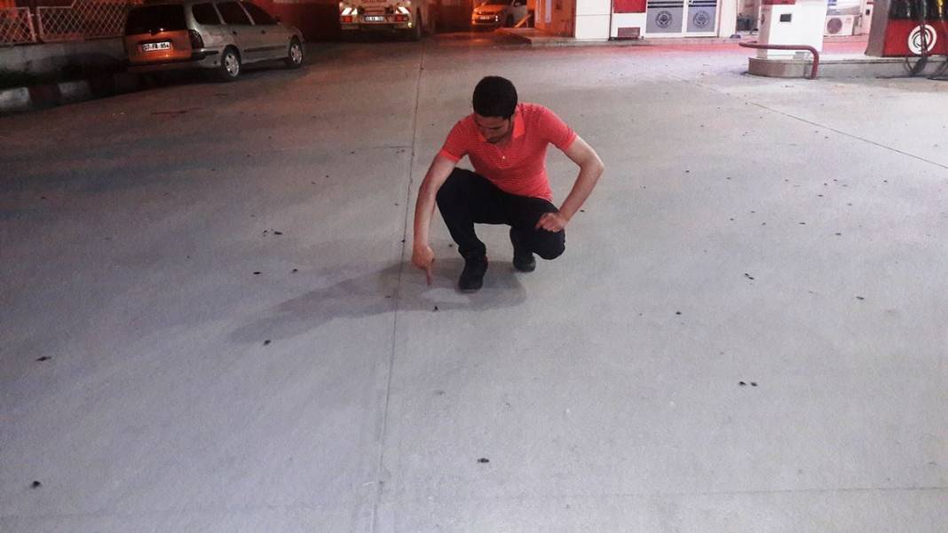 O illerde yaşayanlar dikkat: İstila başladı! Hava kararınca ortaya çıkıp evlerin içine kadar giriyorlar! 3